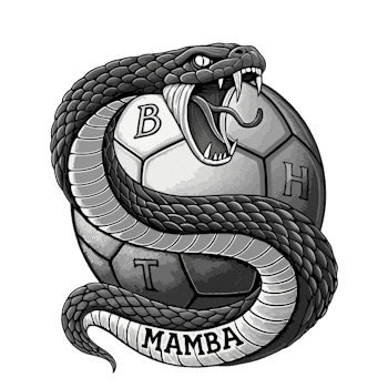 BHT Mamba